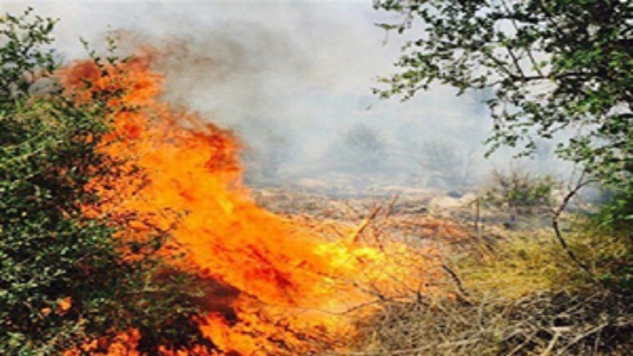 چه کسی جوابگوی فاجعه آتش سوزی در شهرستان چگنی است؟