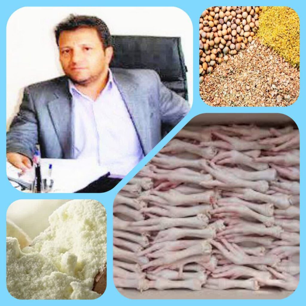 صادرات ۷۸۴هزار کیلوگرم پای مرغ از استان لرستان