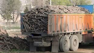 توقیف کامیون حامل ۱۰ تن چوب قاچاق در پلدختر